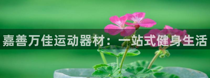 xk星空体育官方正版app娱乐下载：嘉善万佳运动器材：一站式