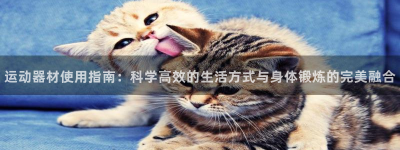 xk星空体育官网下载官方客服电话：运动器材使用指南：