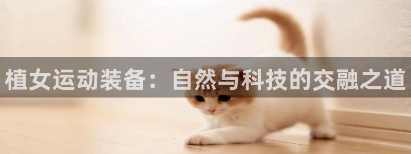 xk星空体育官方正版app娱乐下载