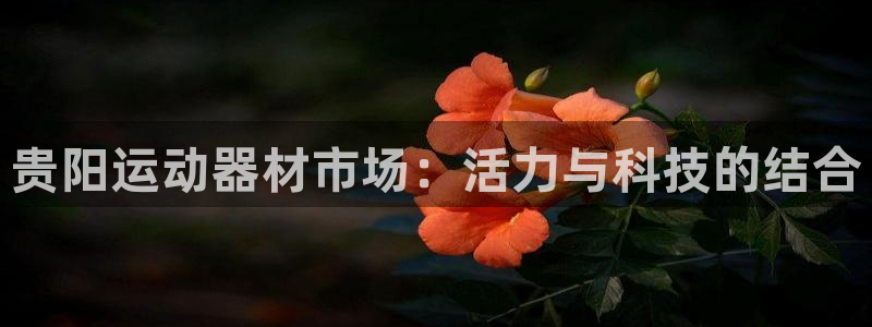 xk星空体育官网下载平台注册要钱吗