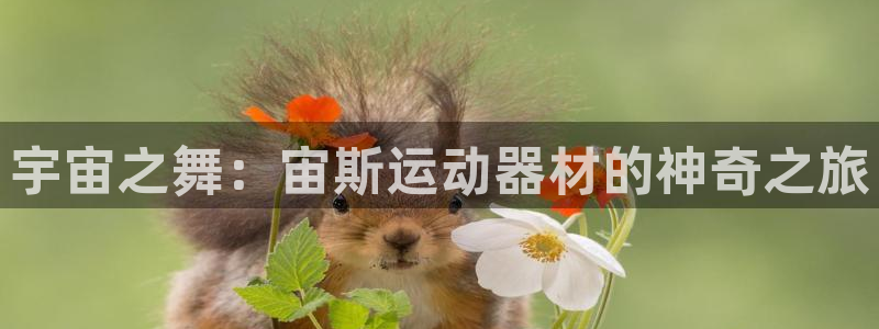 海南xk星空体育官网下载发展怎么样：宇宙之舞：宙斯运动器材的