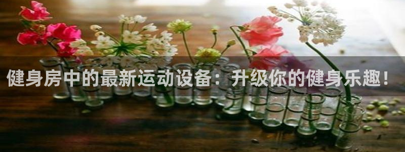 xk星空体育官网下载招商电话号码查询：健身房中的最新运动设备